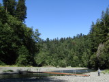 Redwood21_4012.JPG