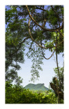 Lion Rock from Jubilee Reservoir