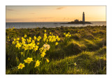 St. Mary's Lighthouse