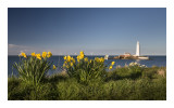 St. Mary's Lighthouse
