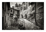 Nesso