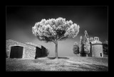 Chapel Vitaleta