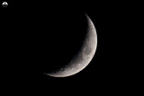 Moons