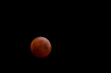 D4S_3158F super-bloed-wolfmaan.jpg