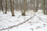 Landschappen/Landscapes