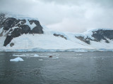 IMG_0377F.jpg