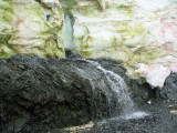 IMG_0352F.jpg