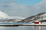 D4S_1114F.jpg