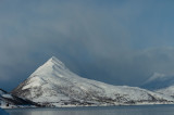 D4S_1120F eiland Senja.jpg