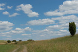 Landschappen/Landscapes