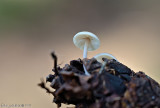 PA240080 -1.jpg