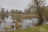 2020_landscapes