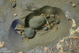 clear water filling erosion depression