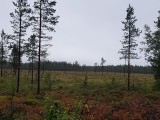 Storsjo - Kapell - Zweden