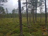 Ostersund - Zweden