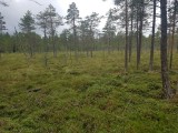 Ostersund - Zweden