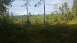 Stollet - Zweden