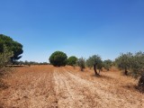 Monroy - Cāceres - Spanje