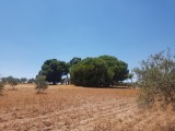 Monroy - Cāceres - Spanje