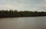 Op de Baia do Guajará