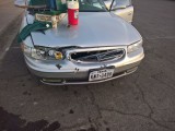 Deer damage