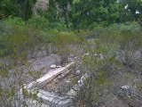 Cattle water tank remains.