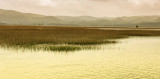 Cerkniško Jezero