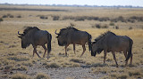 IMG_0003b.JPG