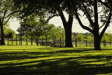 Evening on the Farm