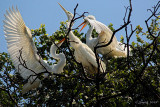 FEEDING TIME
