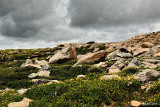 COLORADO ROCKS