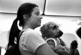 FURRY PASSENGER
