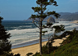 VIEW OF HAYSTACK ROCK