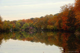 AUTUMN IN OHIO
