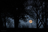 MOON RISING IN MISSOURI