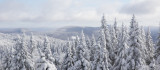 paysage_et_autre
