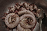 19 march L1090577.JPG