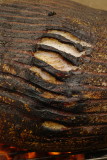 20 march L1090339.JPG