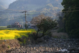 7 may P1078999a.jpg