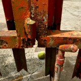 5 july IMG_8973.jpg