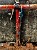 1 october IMG_2474.jpg