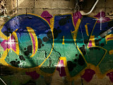 7 january IMG_6661a.jpg
