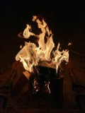 30 january IMG_7259.JPG