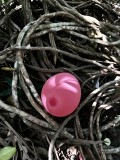 25 february IMG_8178.JPG