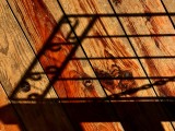 22 march IMG_9337.JPG