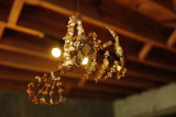 30 june L1140969a.jpg