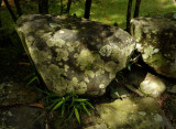 10 october L1220346a.jpg