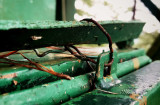 15 october IMG_1112x.jpg
