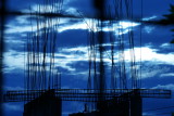 4 november DSC00667.JPG