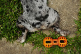 6 november L1230115a.jpg